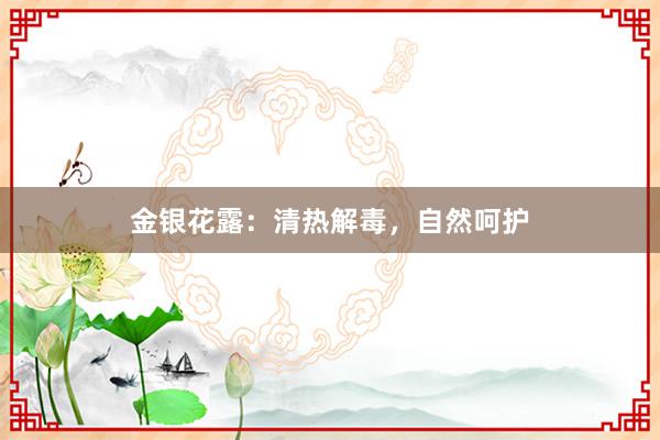 金银花露:清热解毒,自然呵护